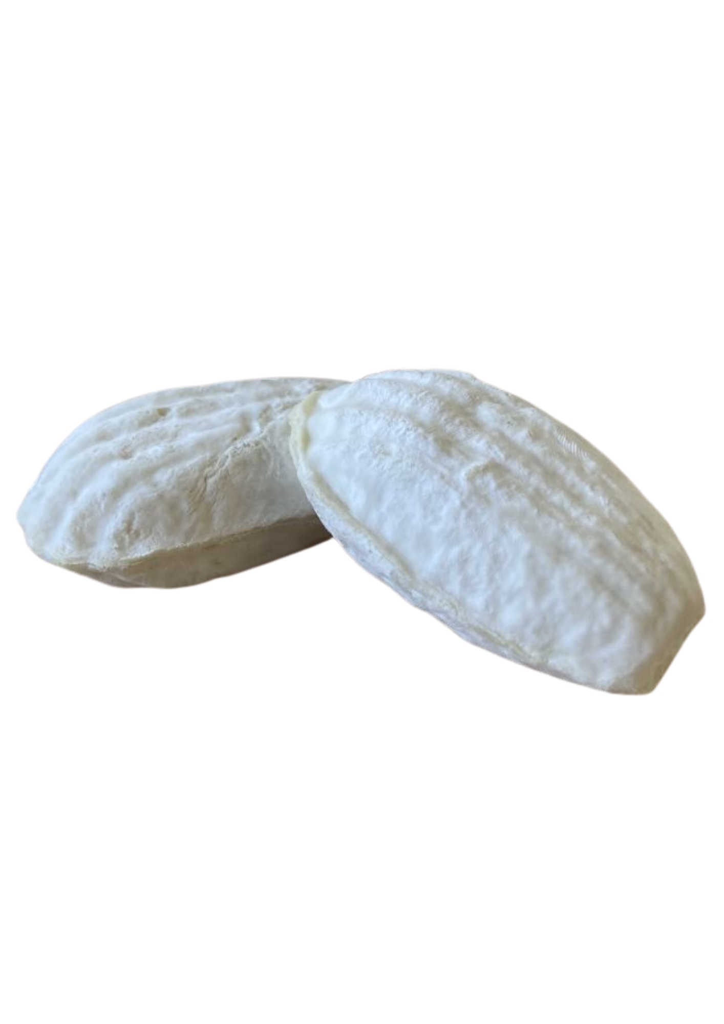 Madeleine de chèvre - Fromagerie chêne vert (département du périgord) (15x35g)